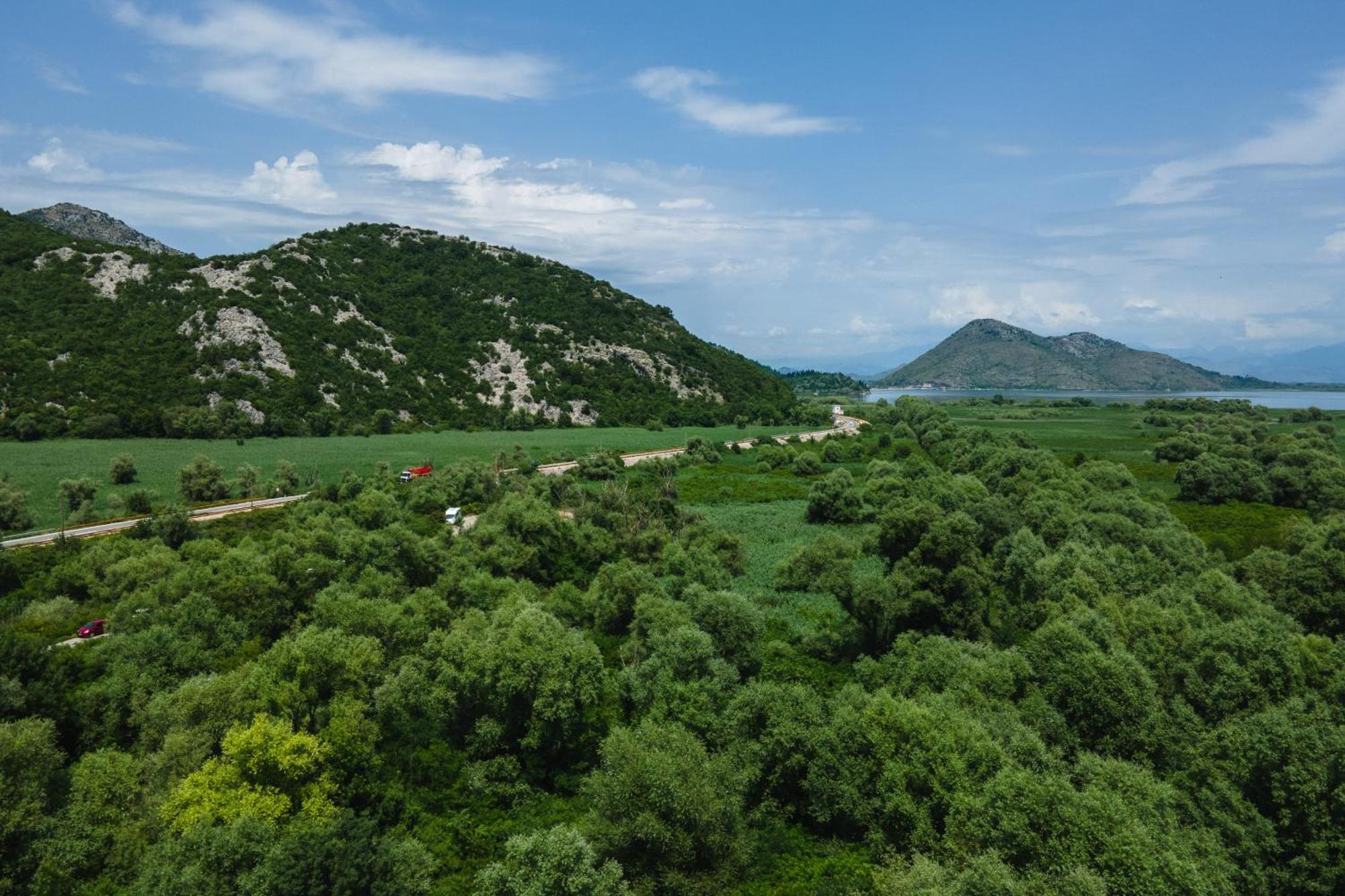 Green Hill Virpazar Bagian luar foto
